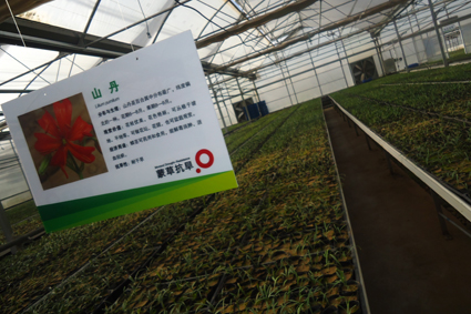 人力资源管理专业开展“组织与工作设计室外教学”活动